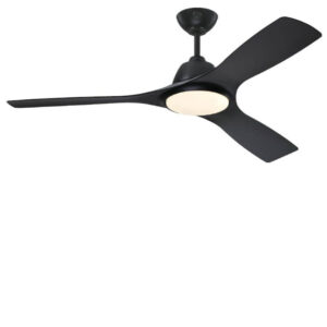 Ceiling fan