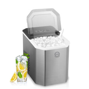 Ice maker