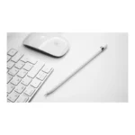 Photo du produit : iPad stylus APPLE PENCIL USB-C